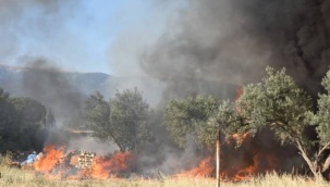 Kemalpaşa'da korkutan yangın