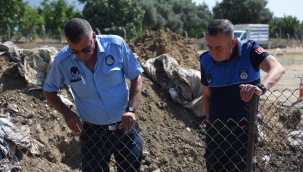 Kemalpaşa'da Kurban Bayramı mesaisi
