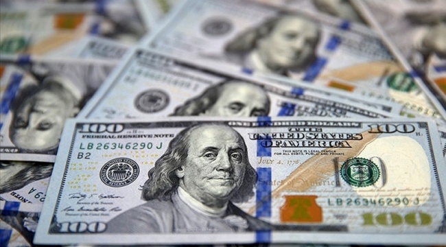 Kısa vadeli dış borç stoku mayısta 134,5 milyar dolara yükseldi