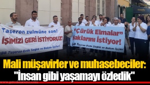 Mali müşavirler ve muhasebeciler: