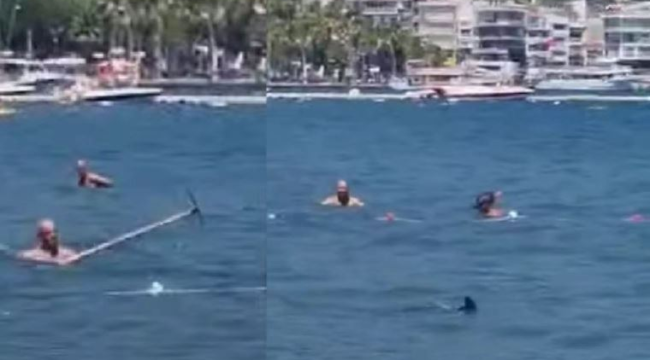 Marmaris'te köpekbalığı sanıp, paspasla kovaladılar: Belediyeden açıklama geldi