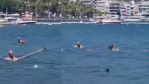 Marmaris'te köpekbalığı sanıp, paspasla kovaladılar: Belediyeden açıklama geldi