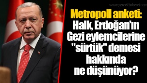 Metropoll anketi: Halk, Erdoğan'ın Gezi eylemcilerine