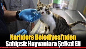 Narlıdere Belediyesi’nden Sahipsiz Hayvanlara Şefkat Eli