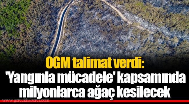 OGM talimat verdi: 'Yangınla mücadele' kapsamında milyonlarca ağaç kesilecek