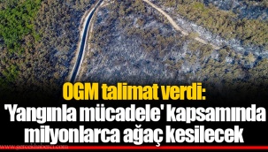OGM talimat verdi: 'Yangınla mücadele' kapsamında milyonlarca ağaç kesilecek