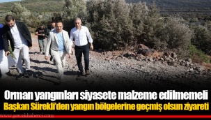 Orman yangınları siyasete malzeme edilmemeli