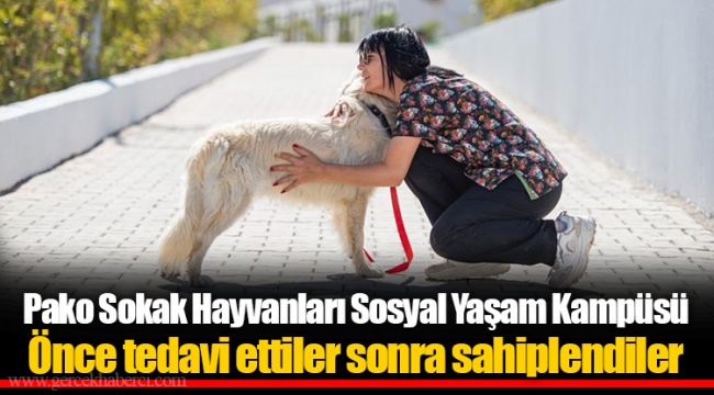 Pako Sokak Hayvanları Sosyal Yaşam Kampüsü