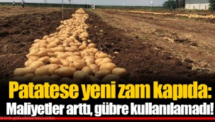 Patatese yeni zam kapıda: Maliyetler arttı, gübre kullanılamadı!