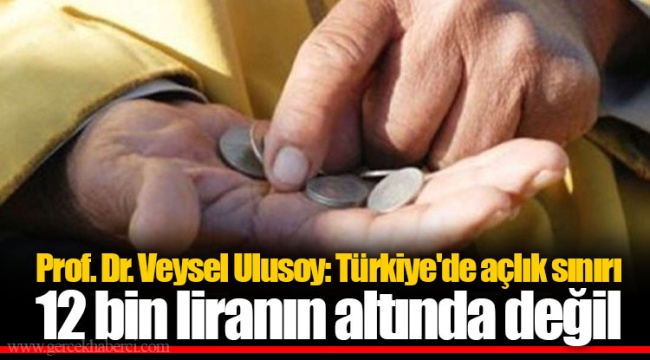 Prof. Dr. Veysel Ulusoy: Türkiye'de açlık sınırı 12 bin liranın altında değil