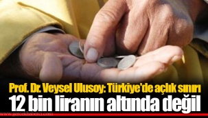 Prof. Dr. Veysel Ulusoy: Türkiye'de açlık sınırı 12 bin liranın altında değil