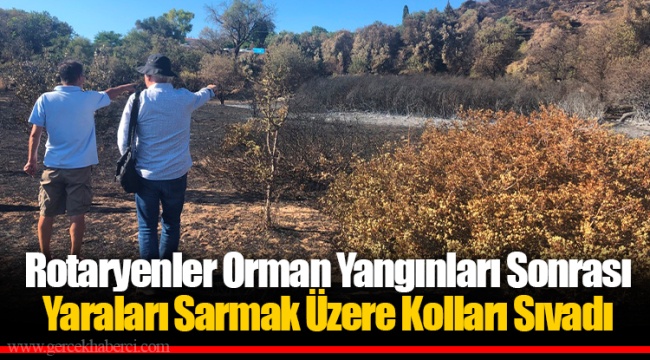Rotaryenler Orman Yangınları Sonrası Yaraları Sarmak Üzere Kolları Sıvadı
