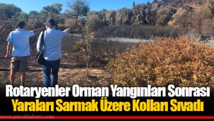 Rotaryenler Orman Yangınları Sonrası Yaraları Sarmak Üzere Kolları Sıvadı