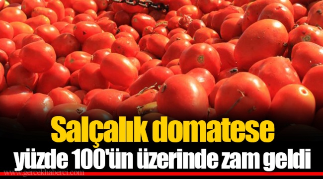 Salçalık domatese yüzde 100'ün üzerinde zam geldi