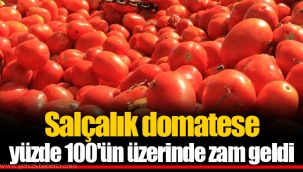 Salçalık domatese yüzde 100'ün üzerinde zam geldi