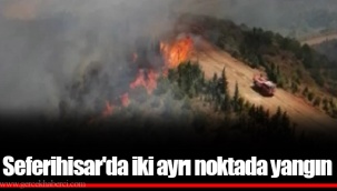 Seferihisar'da iki ayrı noktada yangın
