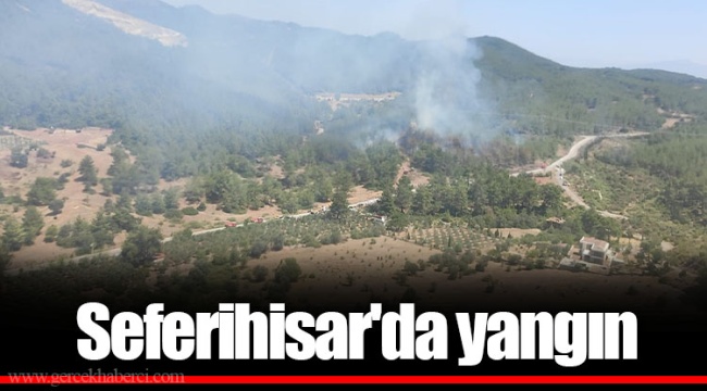 Seferihisar'da yangın