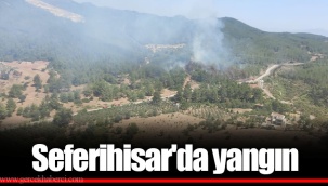 Seferihisar'da yangın