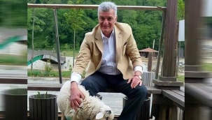 Süleyman Soylu’nun teyzesinin oğlu Sefa Dönmez silahlı saldırıya uğradı