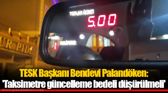 TESK Başkanı Bendevi Palandöken: 'Taksimetre güncelleme bedeli düşürülmeli'