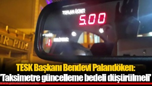 TESK Başkanı Bendevi Palandöken: 'Taksimetre güncelleme bedeli düşürülmeli'