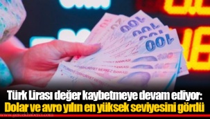 Türk Lirası değer kaybetmeye devam ediyor: Dolar ve avro yılın en yüksek seviyesini gördü