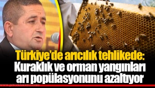 Türkiye'de arıcılık tehlikede: Kuraklık ve orman yangınları arı popülasyonunu azaltıyor