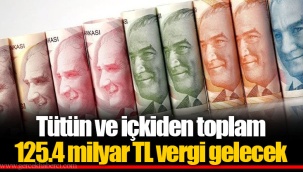 Tütün ve içkiden toplam 125.4 milyar TL vergi gelecek