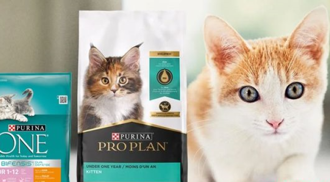 Üç kedi maması ürününde zehirli kimyasallar tespit edildi: Toplatılması kararı çıktı