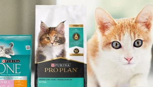 Üç kedi maması ürününde zehirli kimyasallar tespit edildi: Toplatılması kararı çıktı