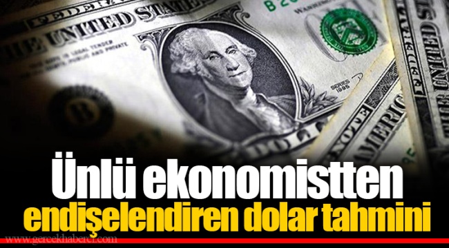 Ünlü ekonomistten endişelendiren dolar tahmini