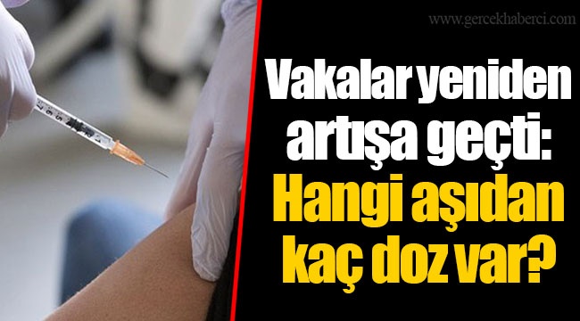 Vakalar yeniden artış geçti: Hangi aşıdan kaç doz var?