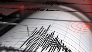 Van'da korkutan deprem!
