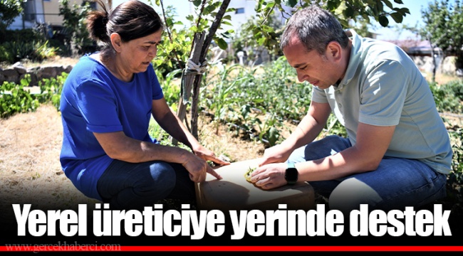 Yerel üreticiye yerinde destek
