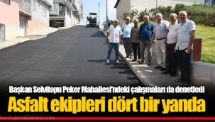 Asfalt ekipleri dört bir yanda