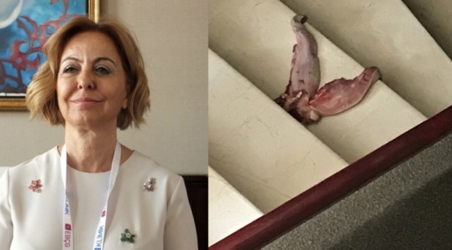 Aşı karşıtlarından tehdit alan Prof. Dr. Esin Davutoğlu Şenol&#039;un kapısına dana dili attılar!