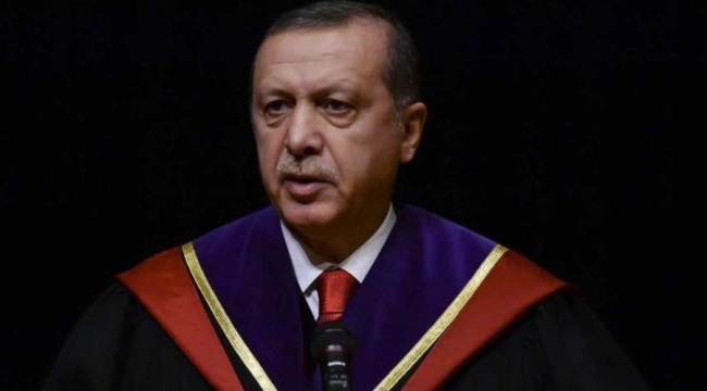 Aydın Ayaydın: Erdoğan'ın diplomasını gördüm demedim