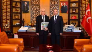 Bahçeli’nin danışmanı sokak röportajı yapanları hedef aldı