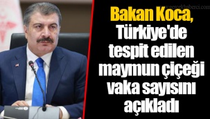 Bakan Koca, Türkiye'de tespit edilen maymun çiçeği vaka sayısını açıkladı