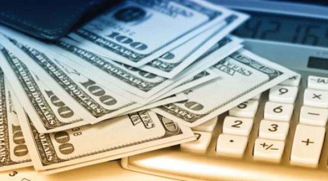 Bankalardaki mevduatların yüzde 71'i dolarize