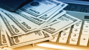 Bankalardaki mevduatların yüzde 71'i dolarize