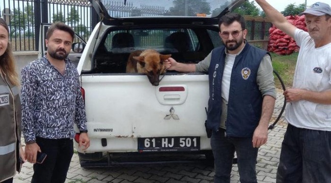 Bekçiler ile gençler birbirine girdi, olan köpeğe oldu! 2 gün gözaltında kaldı