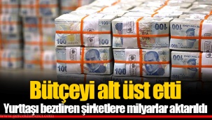 Bütçeyi alt üst etti Yurttaşı bezdiren şirketlere milyarlar aktarıldı
