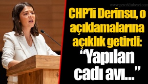 CHP’li Derinsu, o açıklamalarına açıklık getirdi: “Yapılan cadı avı...”