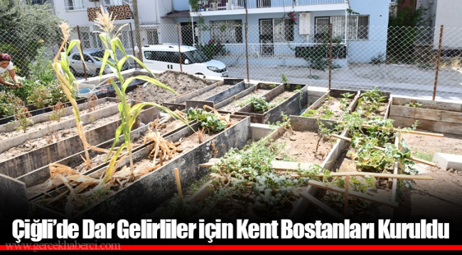Çiğli’de Dar Gelirliler için Kent Bostanları Kuruldu