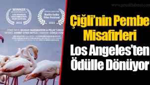 Çiğli’nin Pembe Misafirleri Los Angeles’ten Ödülle Dönüyor