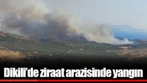 Dikili'de ziraat arazisinde yangın