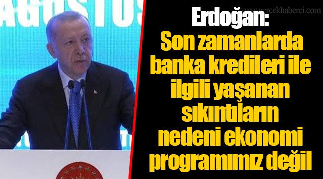 Erdoğan: Son zamanlarda banka kredileri ile ilgili yaşanan sıkıntıların nedeni ekonomi programımız değil