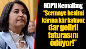 HDP’li Kemalbay, “Sermaye kesimi kârına kâr katıyor, dar gelirli faturasını ödüyor!”
