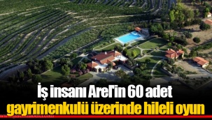 İş insanı Arel'in 60 adet gayrimenkulü üzerinde hileli oyun